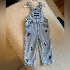 Zara Light Blue Kids Overalls with Embroidery